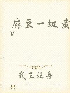 麻豆一级黄色av封面