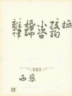 离婚小孩抚养权律师咨询