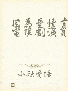 因为爱情有多美电视剧演员表介绍