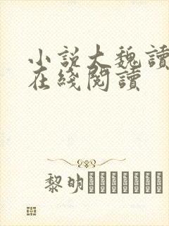 小说大魏读书人在线阅读