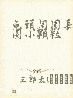 龟头周围长了一圈小颗粒