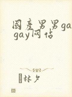 国产男男gay gay网站