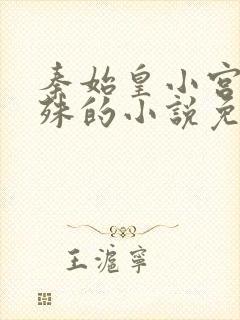 秦始皇小宫女洛殊的小说免费阅读封面