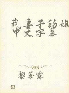 我妻子的姐姐3中文字幕