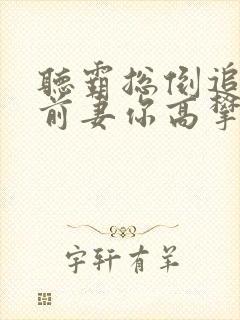 听霸总倒追财阀前妻你高攀不起小说