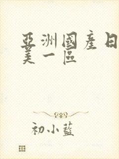 亚洲国产日韩欧美一区