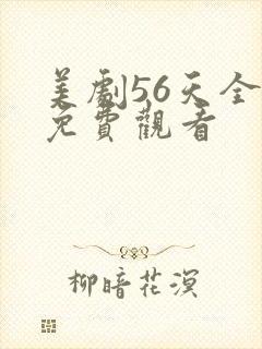 美剧56天全集免费观看封面