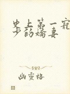 史上第一宠婚慕少的娇妻