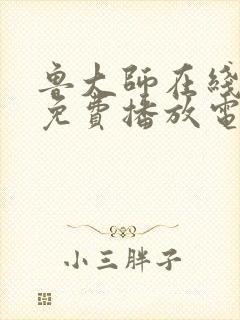 鲁大师在线播放免费播放电视剧大全