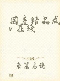 国产精品成人av 在线