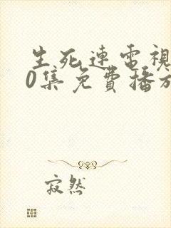 生死连电视剧40集免费播放封面