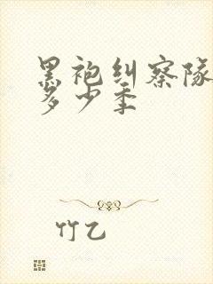 黑袍纠察队出了多少季