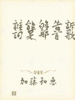 谁能够告诉我歌词是哪首歌