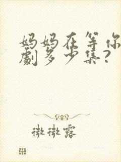 妈妈在等你电视剧多少集?封面