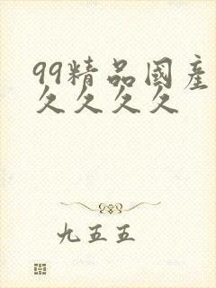 99精品国产久久久久久封面