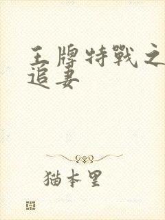 王牌特战之军少追妻