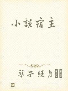 小说宿主
