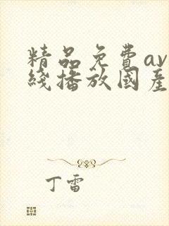 精品免费av在线播放国产封面