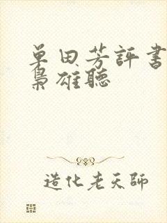 单田芳评书乱世枭雄听