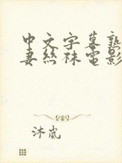 中文字幕熟女人妻丝袜电影封面