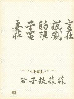 妻子的谎言免费版电视剧在线观看全集