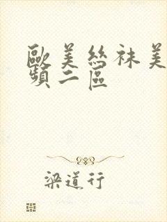 欧美丝袜美腿视频二区