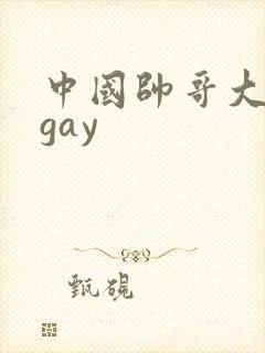 中国帅哥大尺度gay