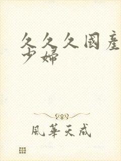 久久久国产精品少妇