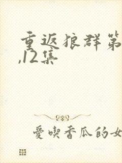 重返狼群第11,12集