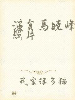 演员马晓峰老婆照片