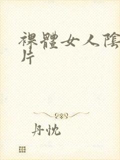 裸体女人阴道照片