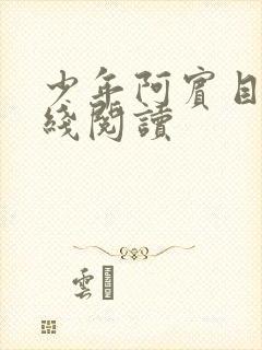 少年阿宾目录在线阅读