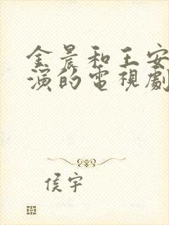 金晨和王安宇主演的电视剧