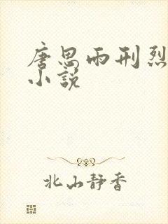 唐思雨刑烈寒的小说封面