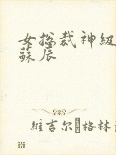 女总裁神级保镖苏辰