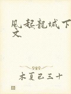 风起龙城下载全文封面