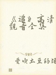 《追》高清免费观看全集