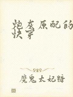 炮灰原配的人生快穿