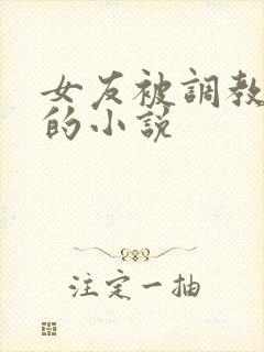 女友被调教堕落的小说封面