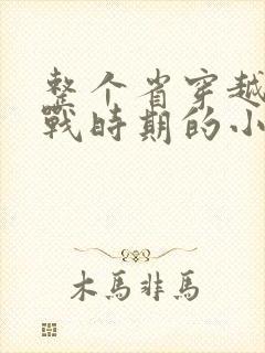 整个省穿越到抗战时期的小说