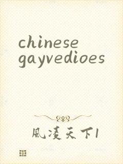 chinesegayvedioes