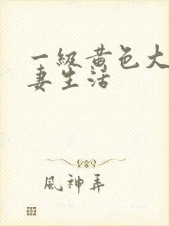 一级黄色大片夫妻生活