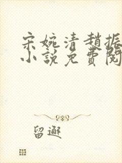 宋婉清赵振国的小说免费阅读最新章节