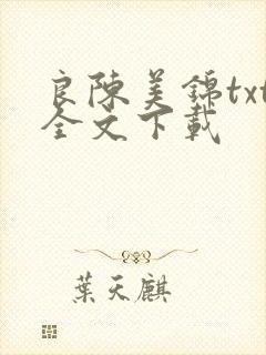 良陈美锦txt全文下载