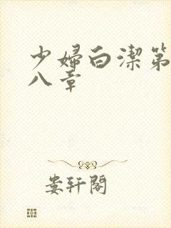 少妇白洁第二十八章