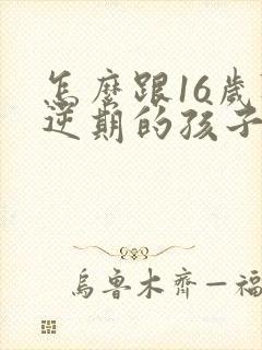 怎么跟16岁叛逆期的孩子相处