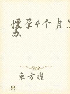 怀孕4个月怎么办