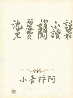 沈丽娟小说全文免费阅读最新章节封面