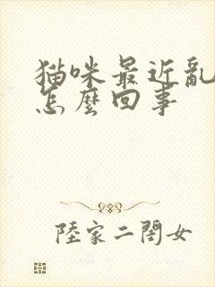 猫咪最近乱拉尿怎么回事封面