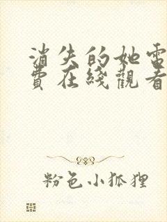 消失的她电影免费在线观看